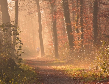 Jak wzmocnić odporność jesienią i cieszyć się bieganiem